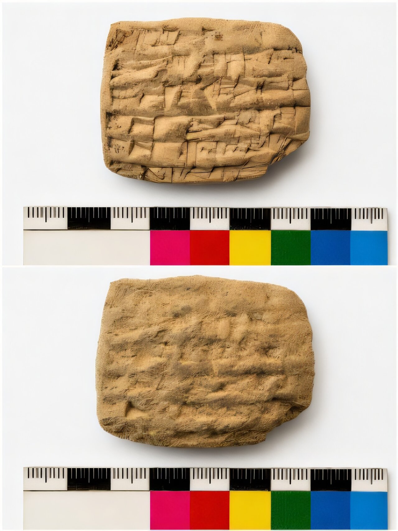 archaeologists-uncover-2.jpg